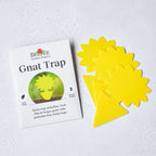Sticky Gnat Trap