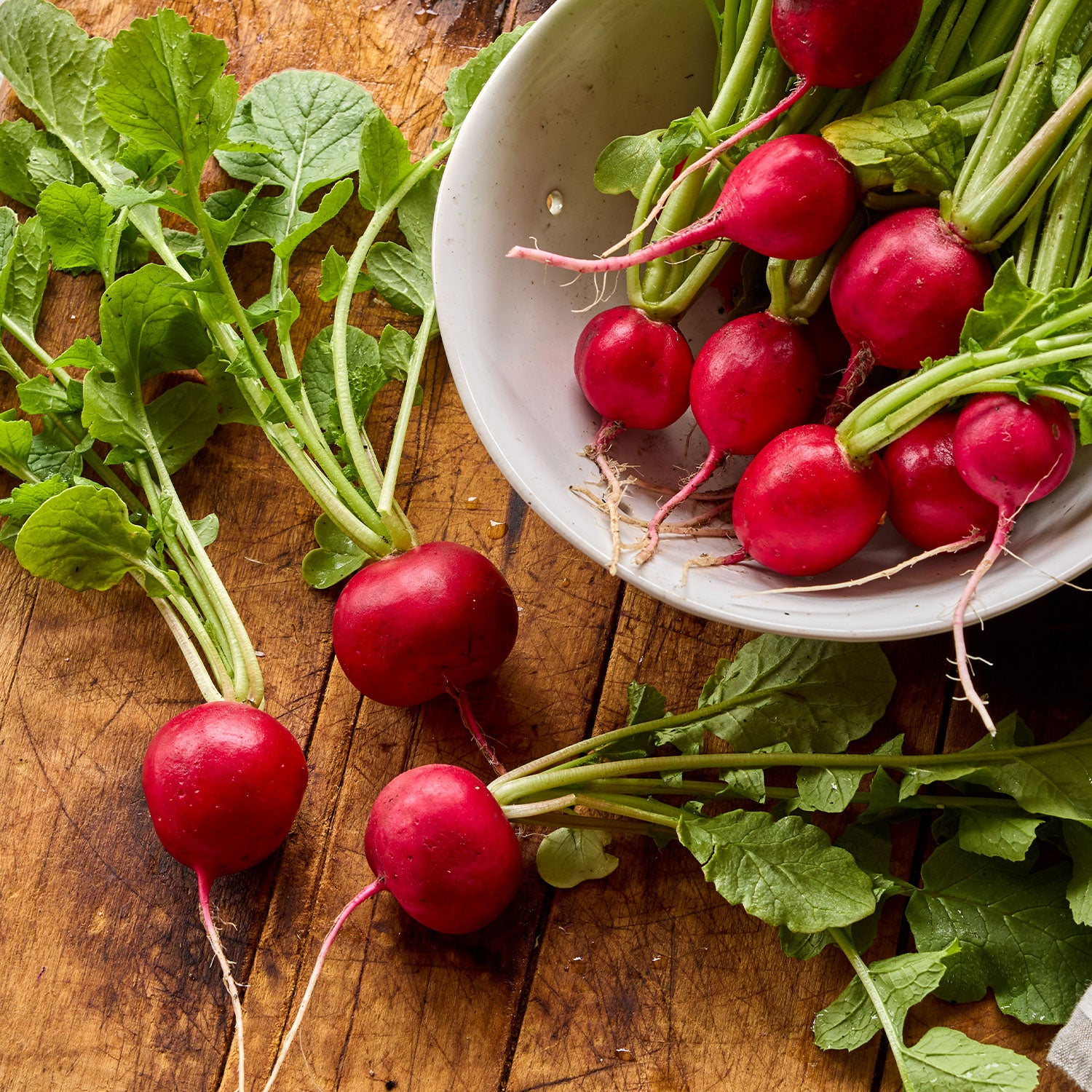 Early Scarlet Globe Radish