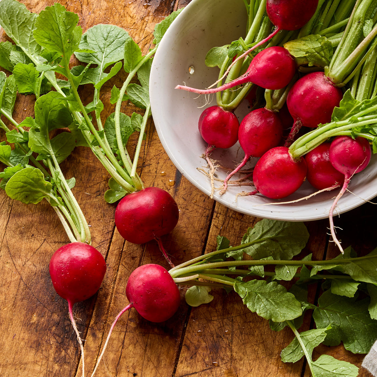 Early Scarlet Globe Radish