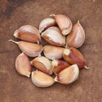 German Red Garlic Bulbs