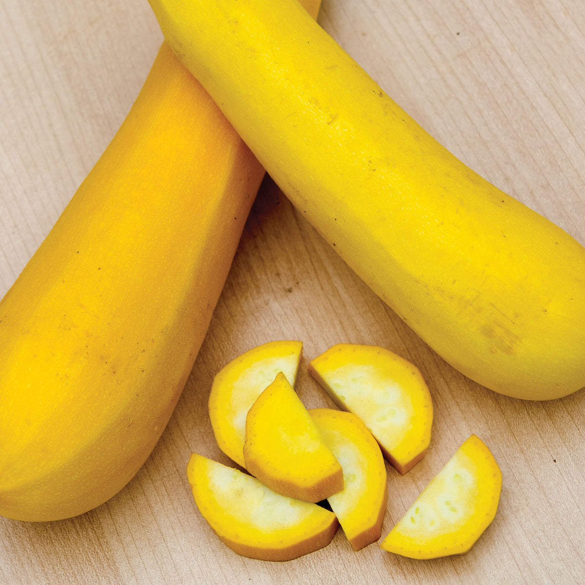 Burpee Golden Zucchini Summer Squash