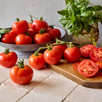 Burpee Garden Sown™ Little Big Boy Tomato