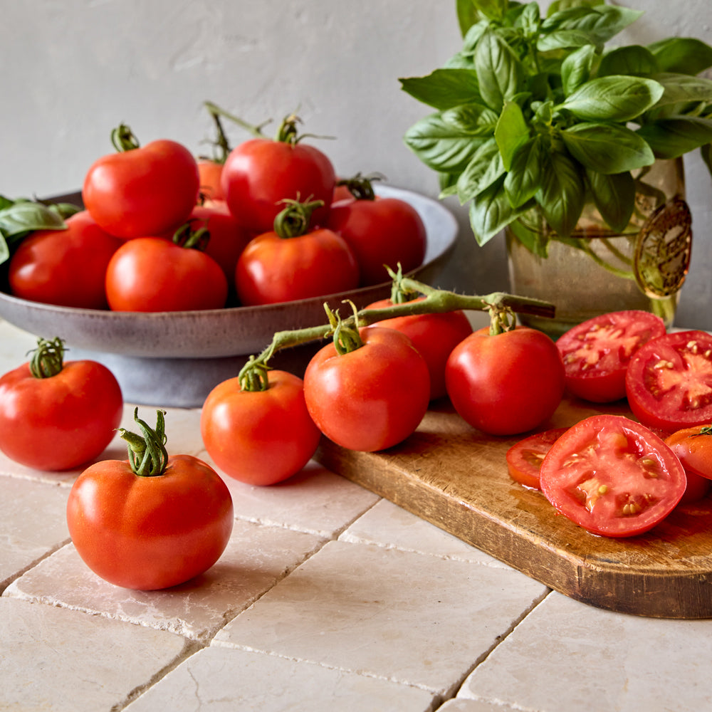 Burpee Garden Sown™ Little Big Boy Tomato