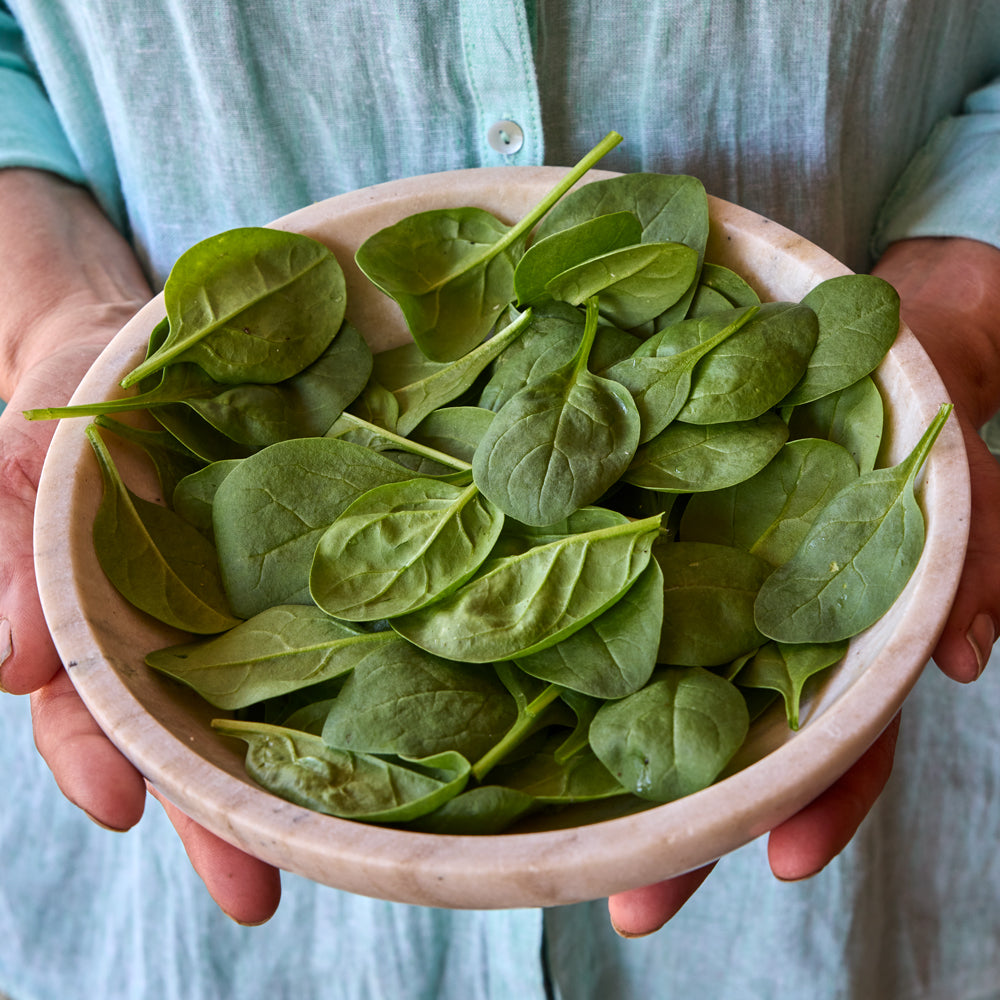 Prosper Spinach