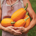 Hasta La Pasta Winter Squash