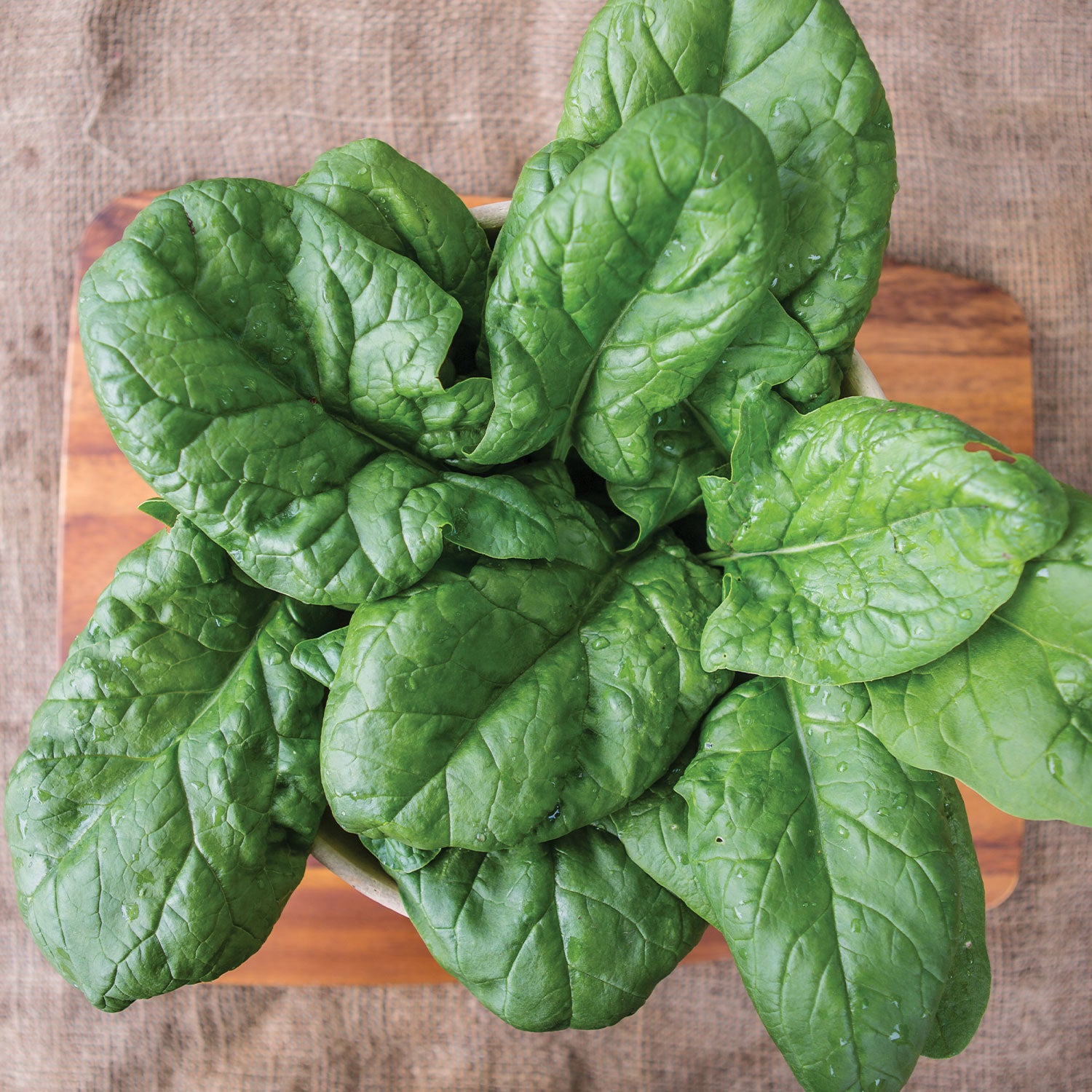Persius Spinach