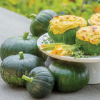 Cupcake Summer Squash