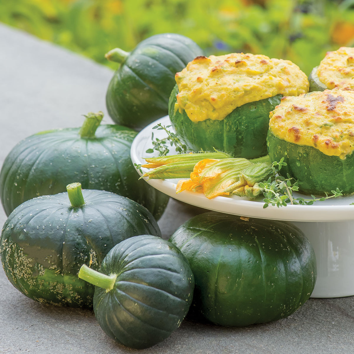 Cupcake Summer Squash