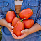 SuperSauce Tomato