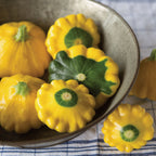 Sunburst Squash