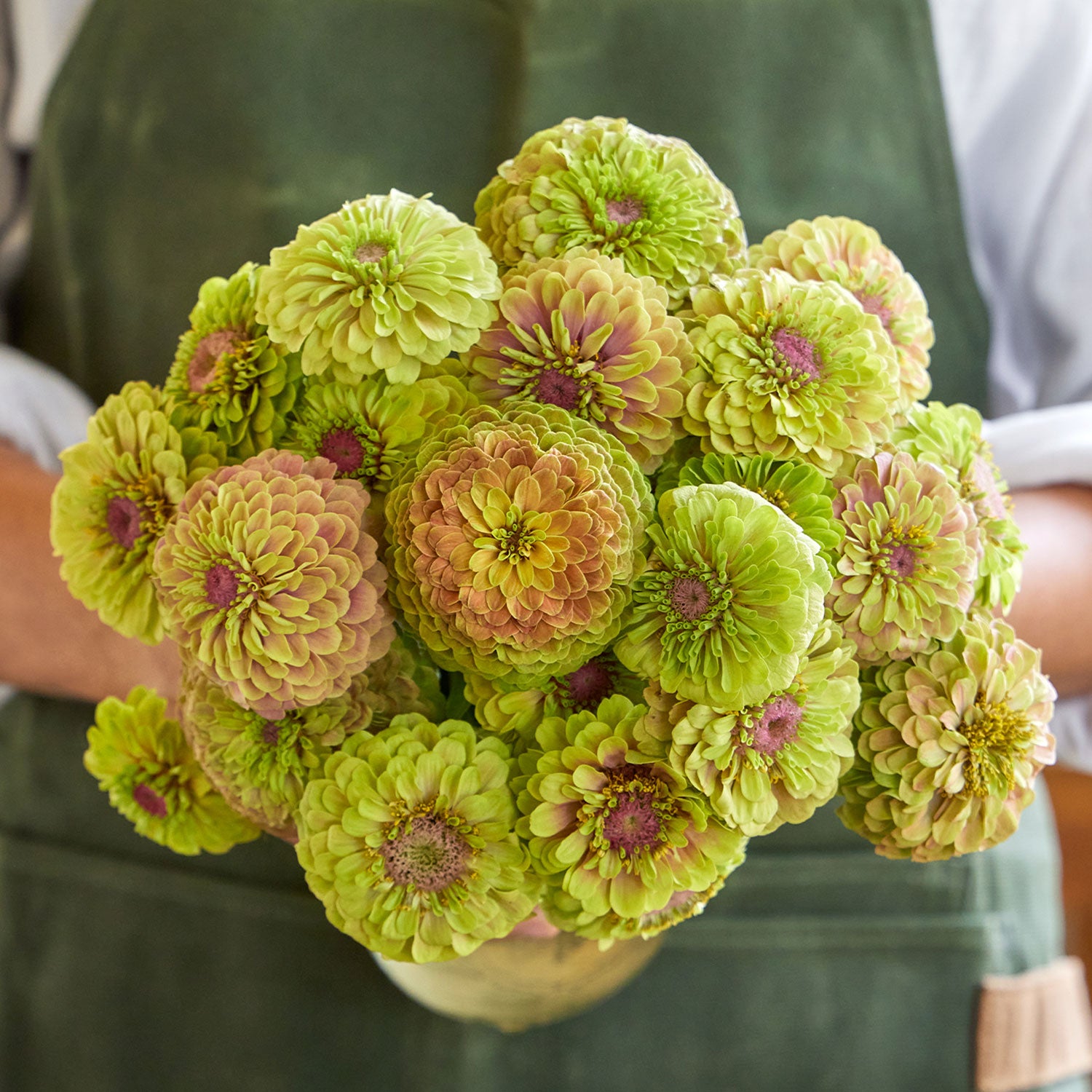 Queeny Lime with Blush Zinnia