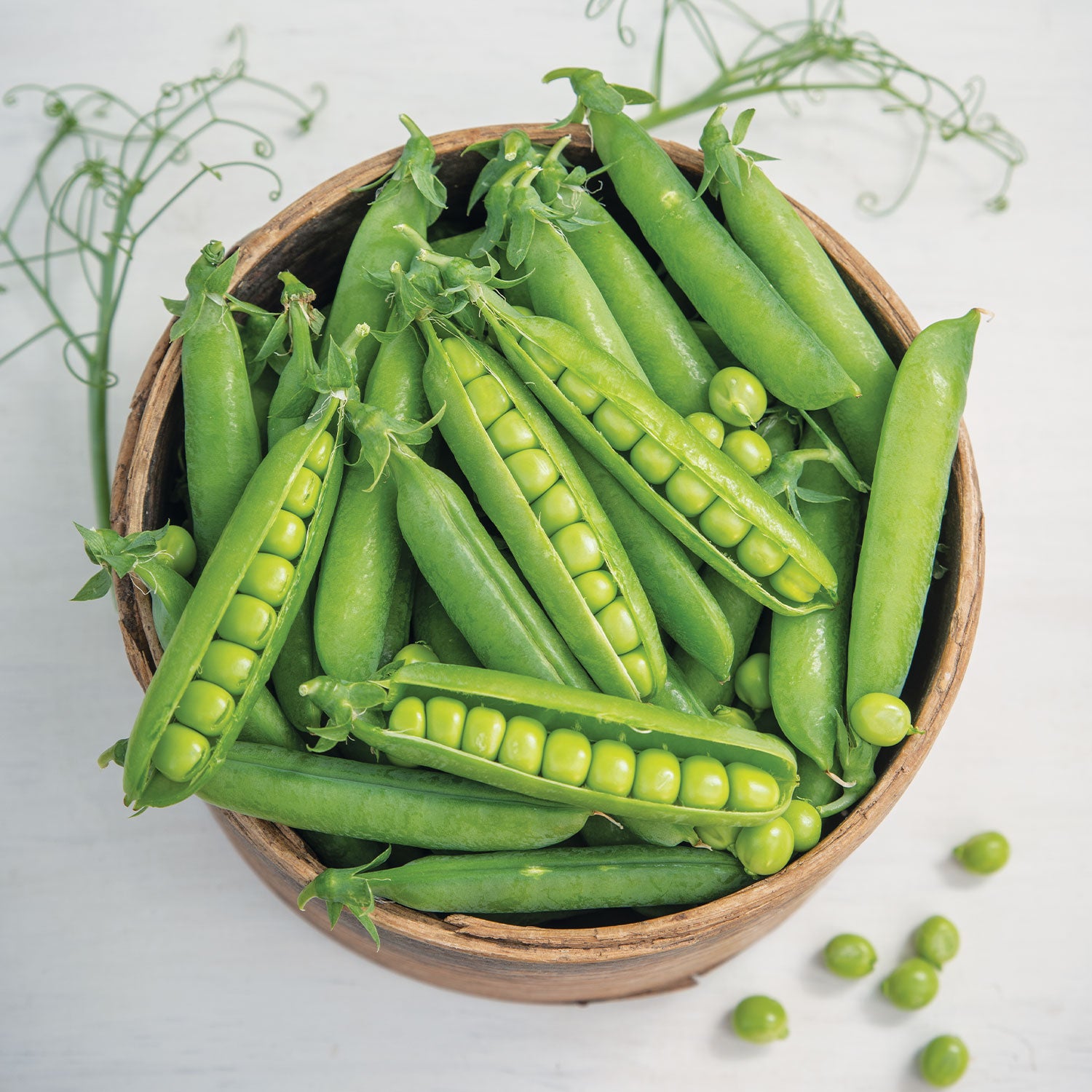 Burpeeana Early Pea