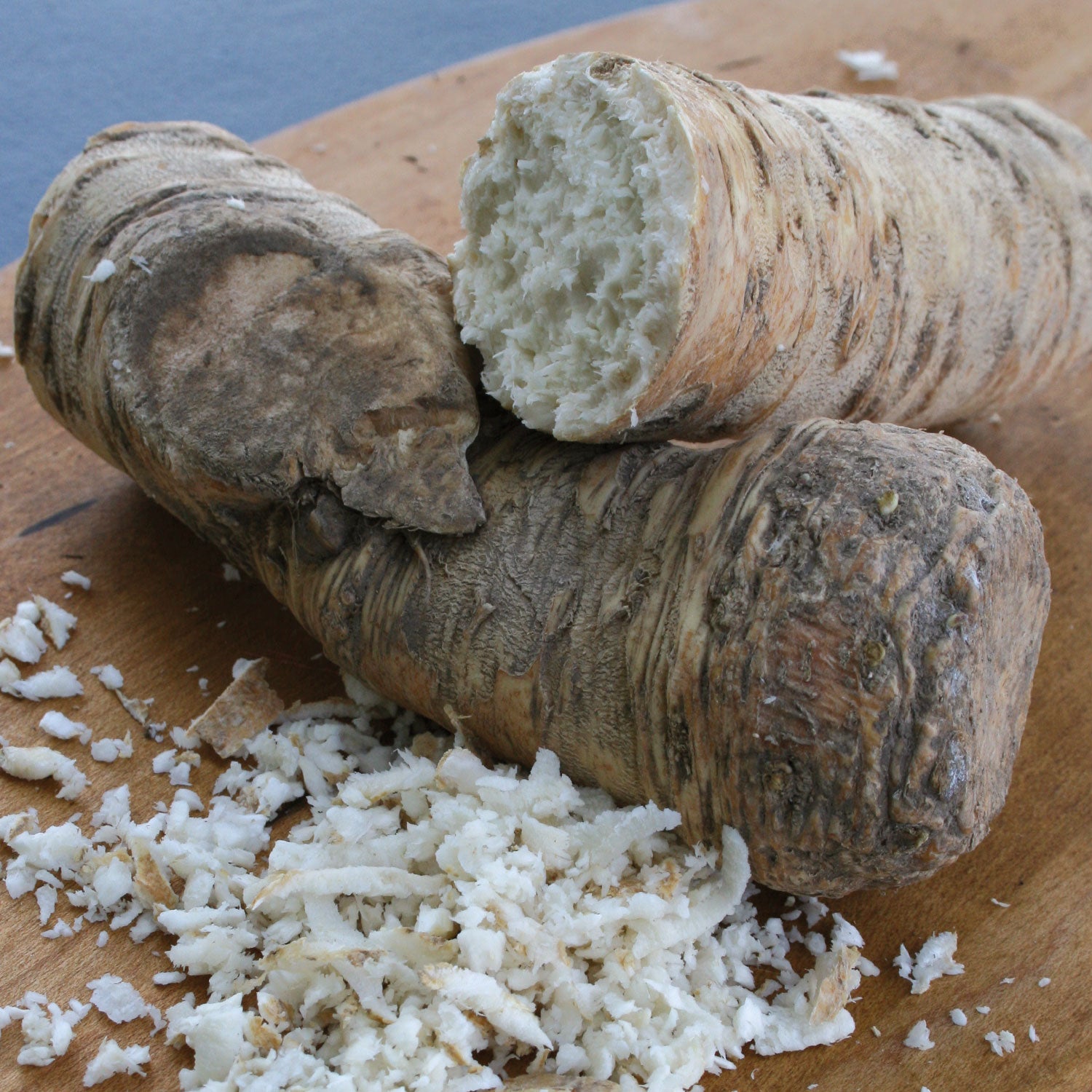 Maliner Kren Horseradish Bare Roots
