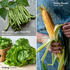 Burpee's Historic Breakthrough Collection
