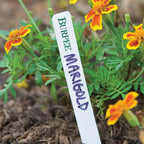 Burpee Plant Labels