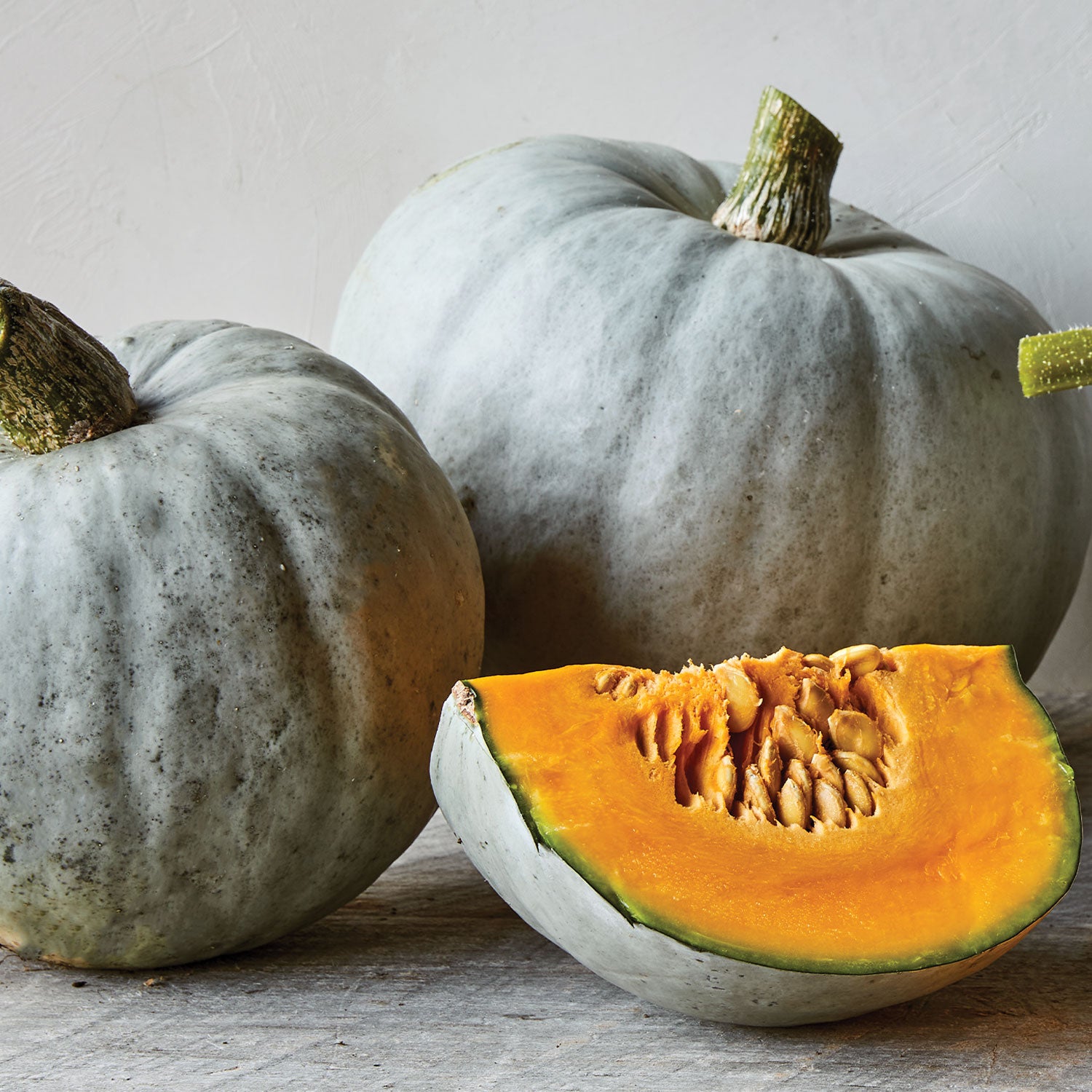 Harvest Moon Winter Squash
