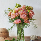 Light Apricot Lisianthus