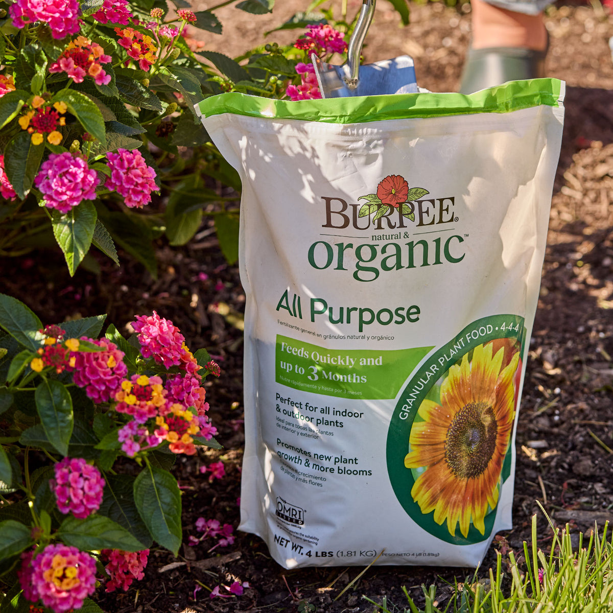 Burpee Natural Organic All Purpose Granular Plant Food 4-4-4