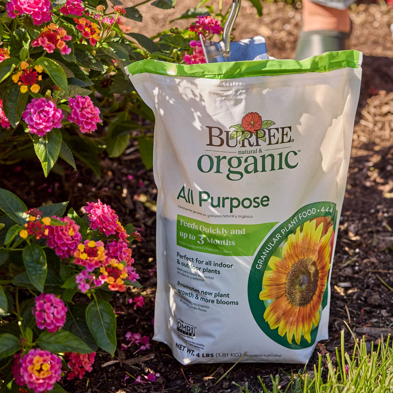 Burpee Natural Organic All Purpose Granular Plant Food 4-4-4