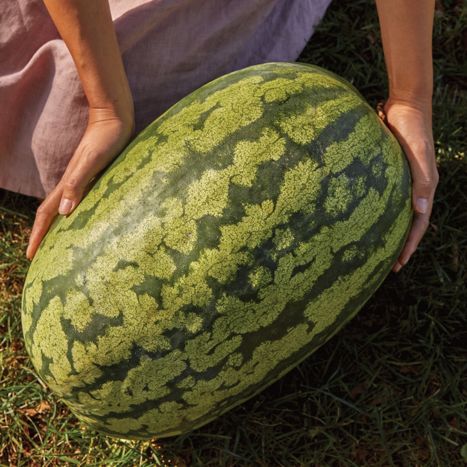 Carolina Cross #183 Watermelon