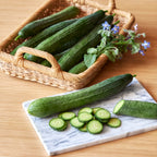 Sweet Superior Cucumber
