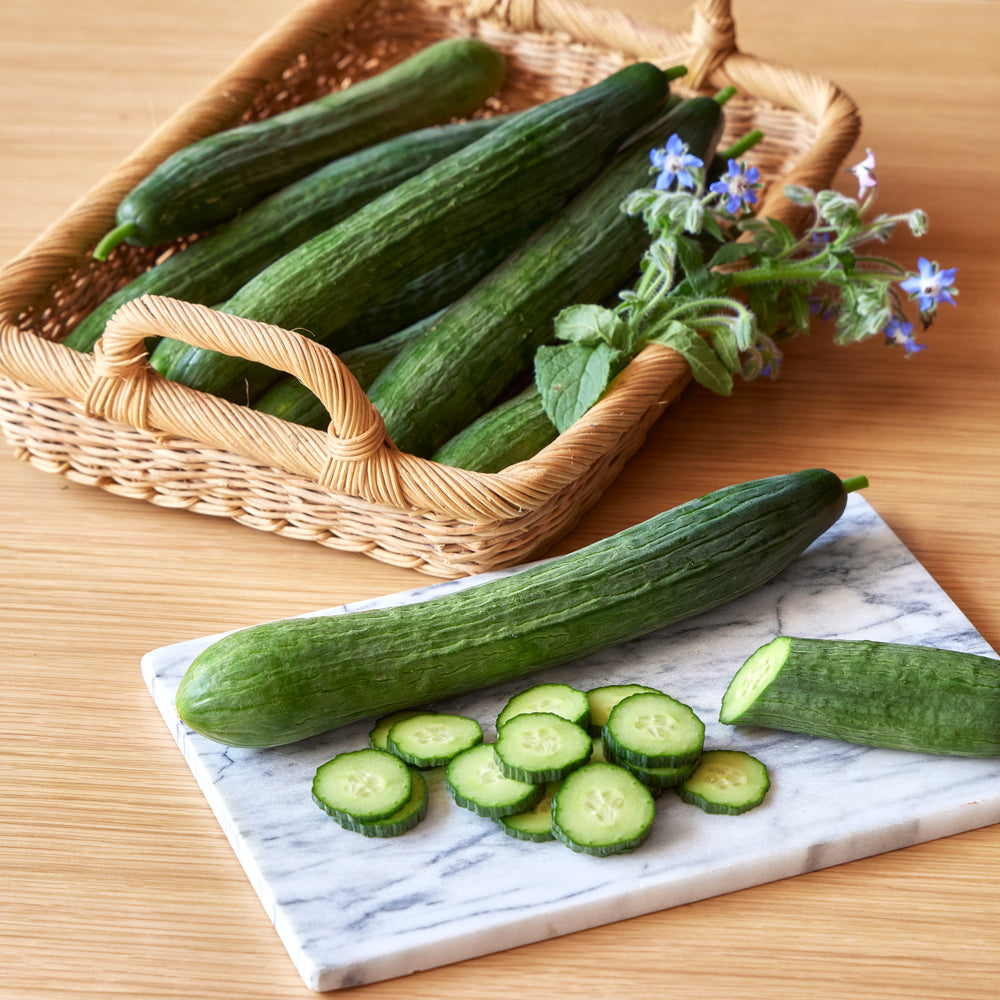 Sweet Superior Cucumber