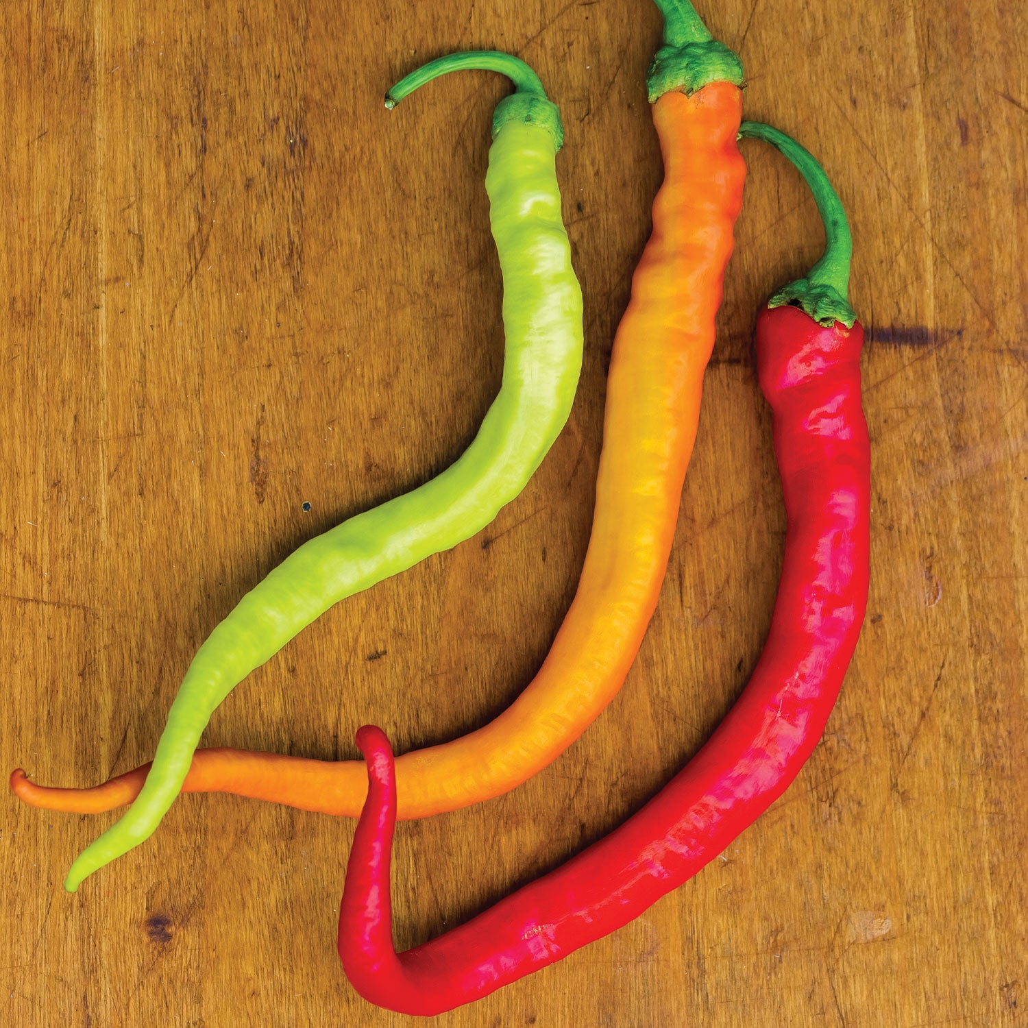 Sweet Thing Hot Pepper