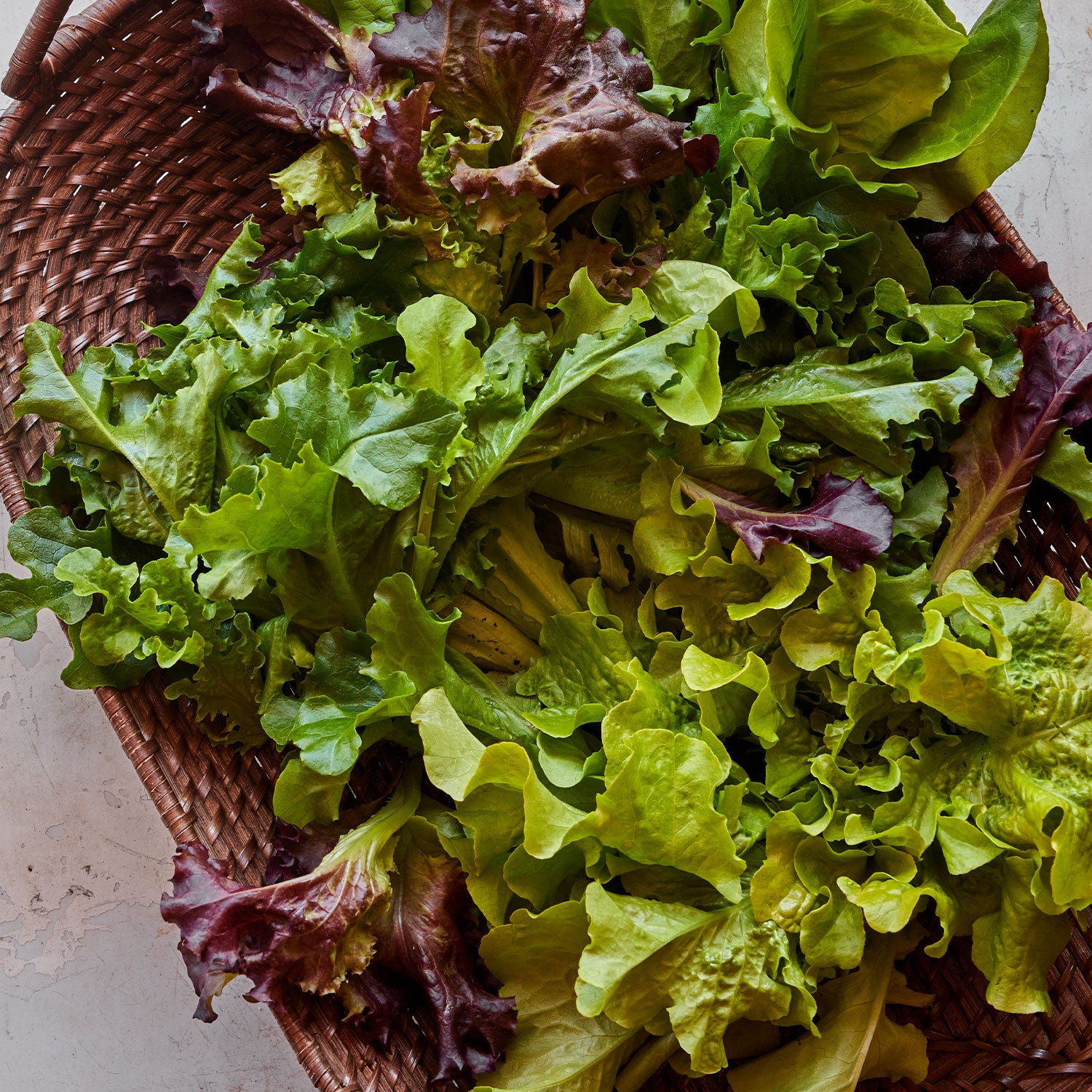 Heatwave Blend Lettuce