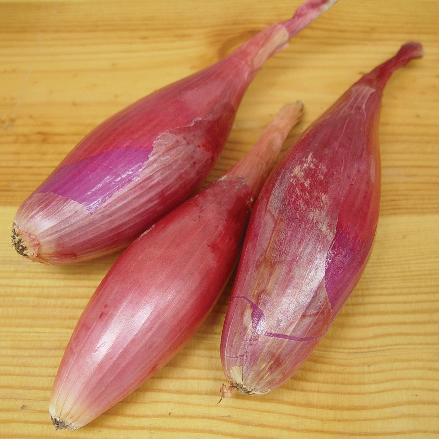 Italian Torpedo Onion