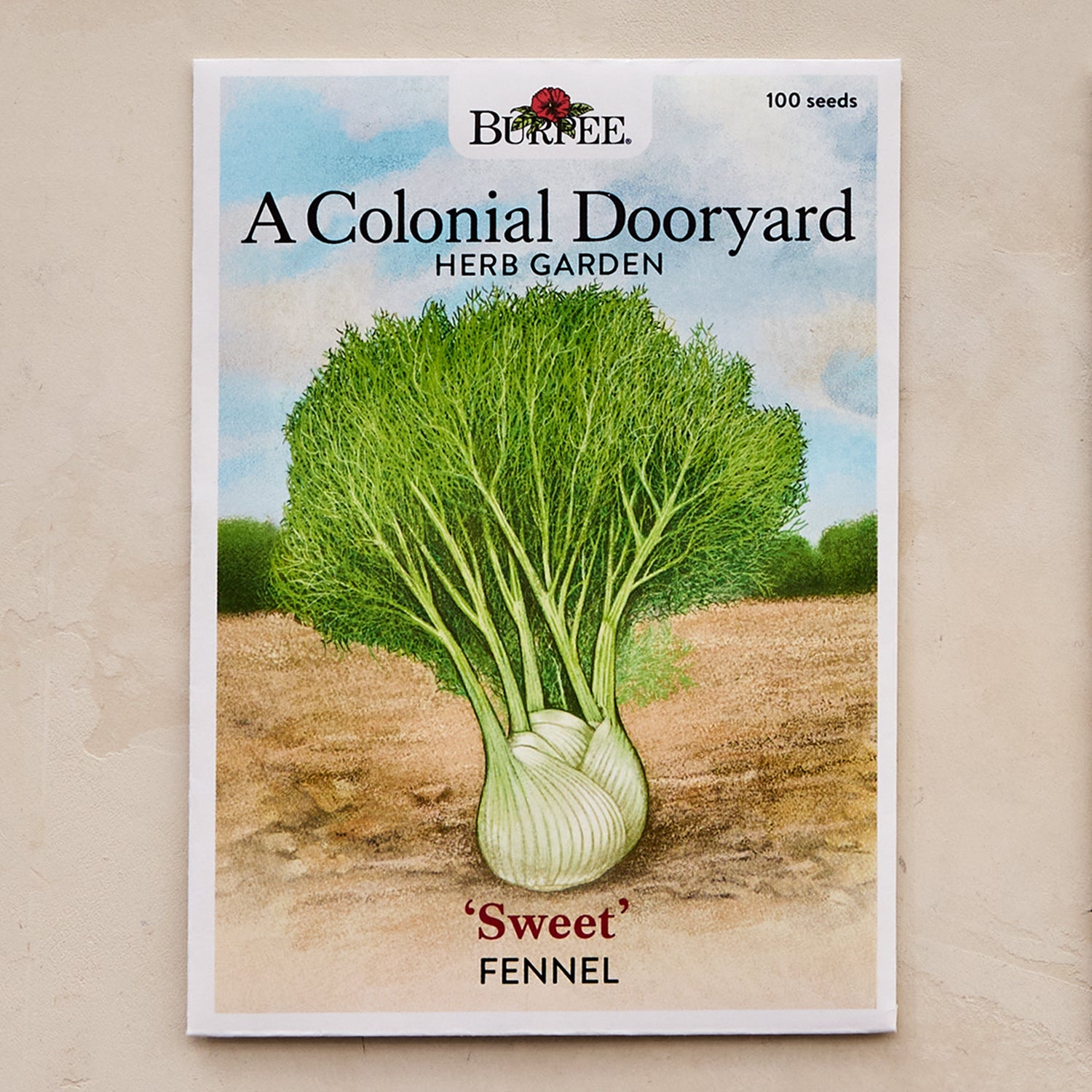 Sweet Fennel Seeds - A Colonial Dooryard Herb Garden