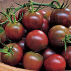 Black Pearl Tomato