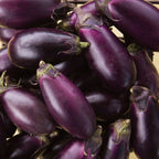 Patio Baby Eggplant