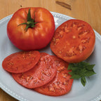Beefsteak Organic Tomato
