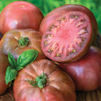 Black Krim Tomato