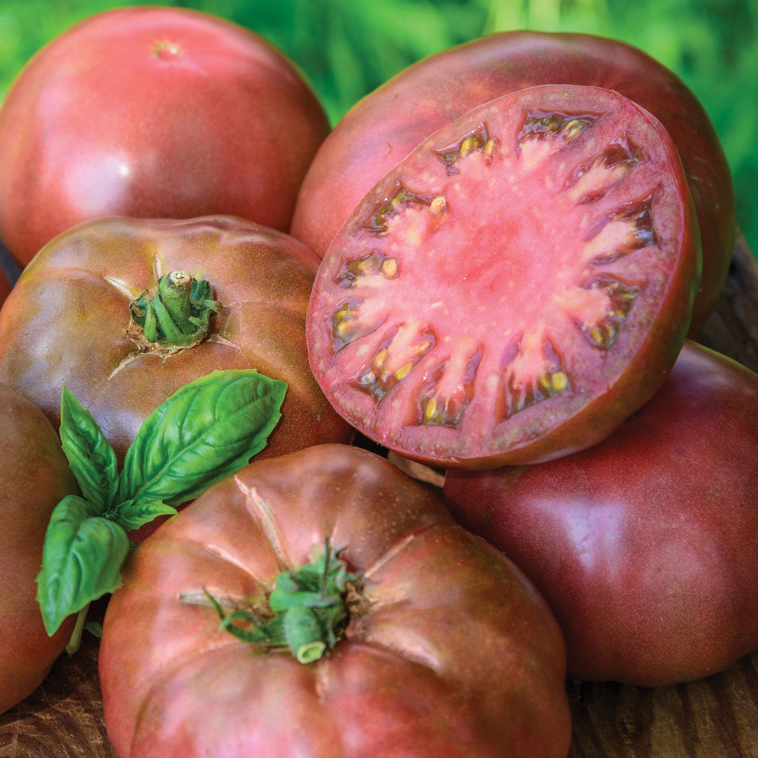 Black Krim Tomato