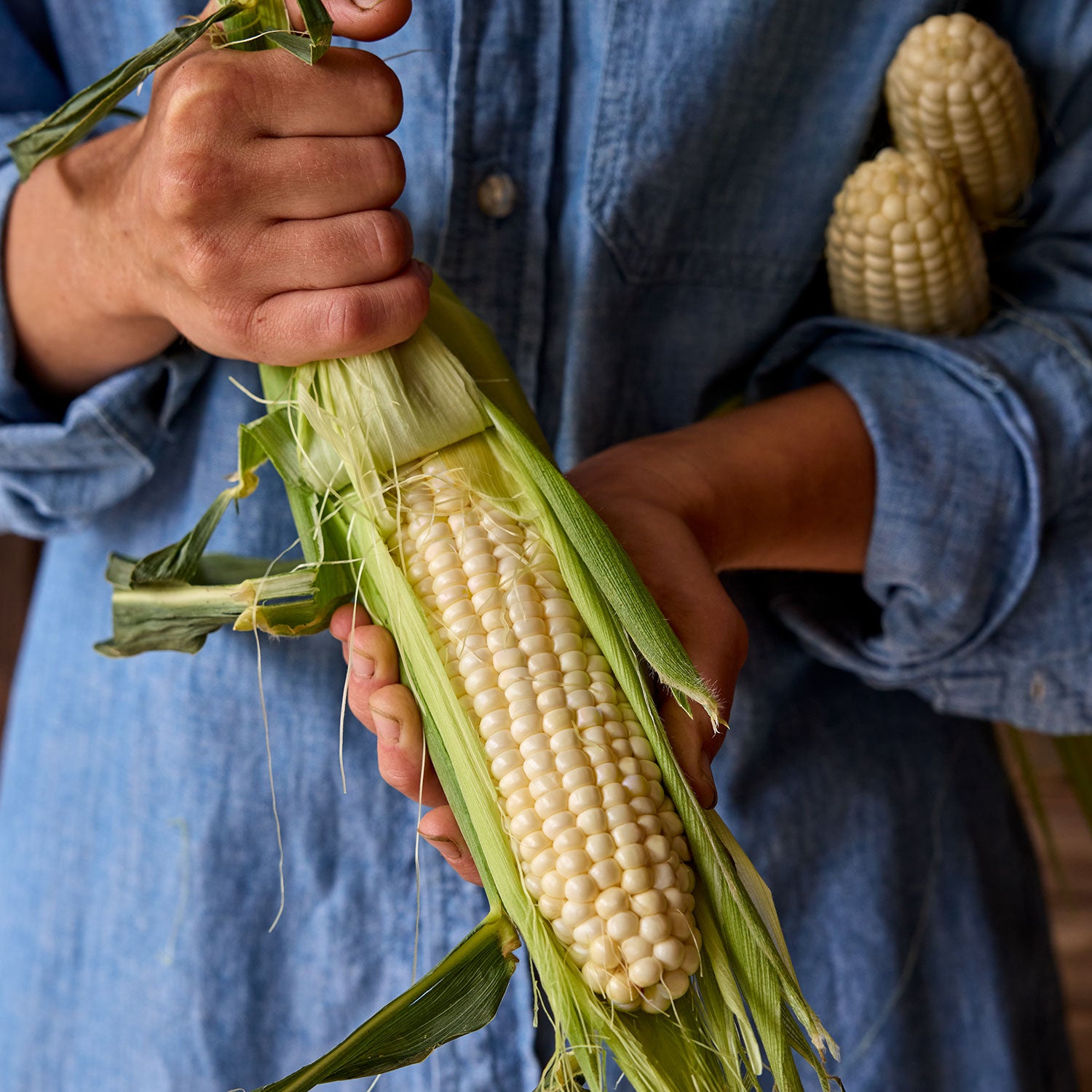 Magnolia Sweet Corn
