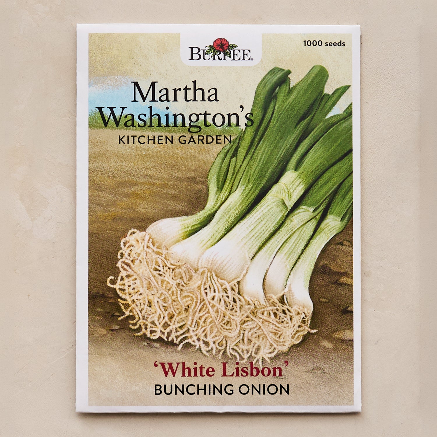 White Lisbon Bunching Onion Seeds - Martha Washington's Kitchen Garden