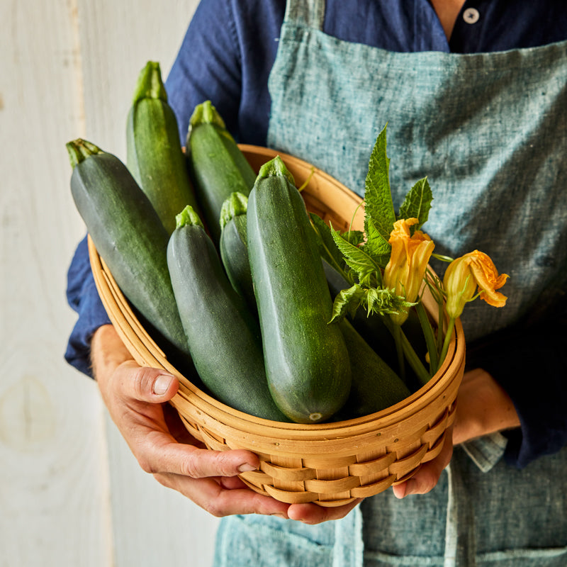 Sure Pick Summer Squash