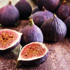 Violette de Bordeaux Fig