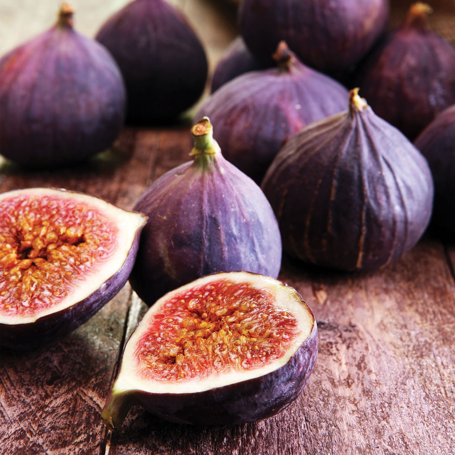 Violette de Bordeaux Fig