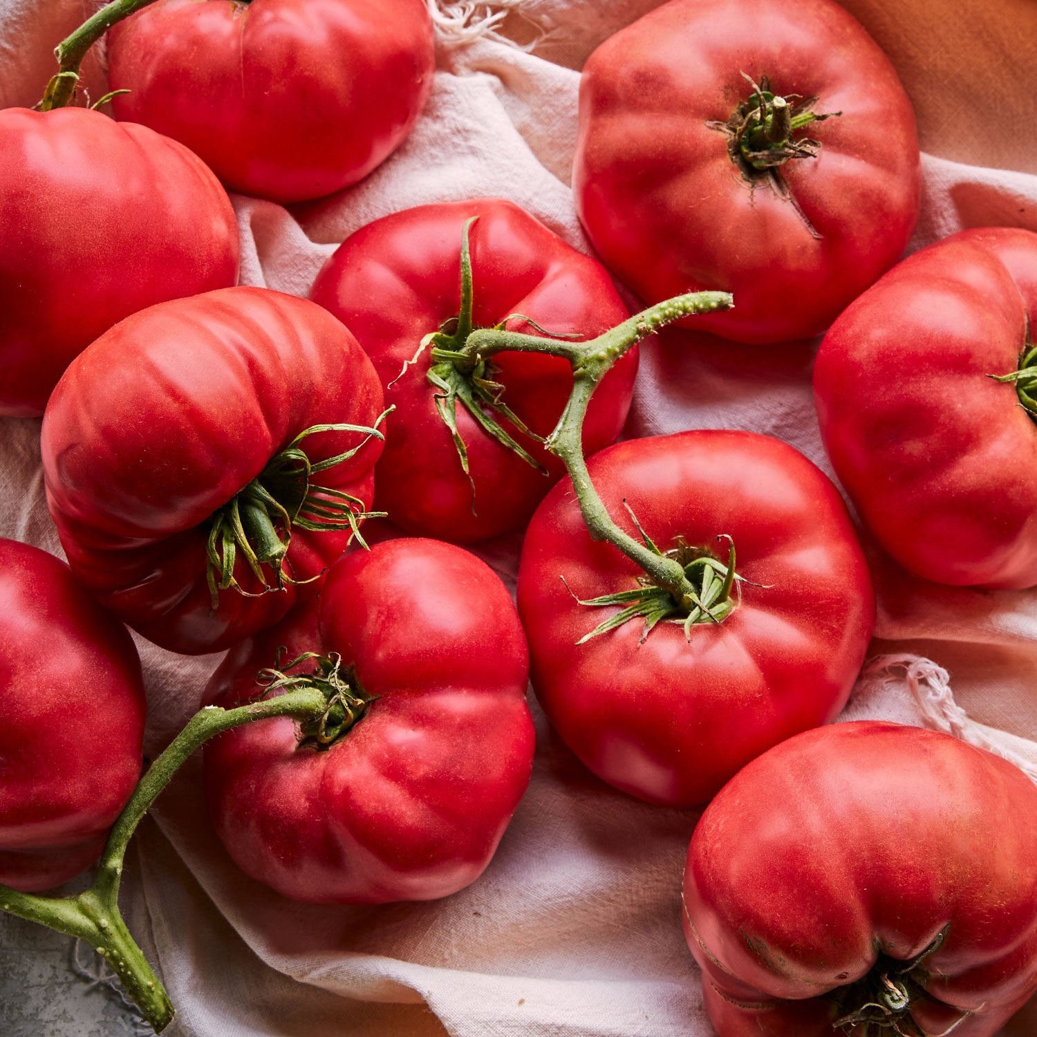 Mortgage Lifter Tomato