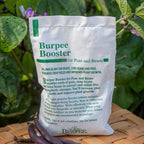 Burpee Bean & Pea Booster