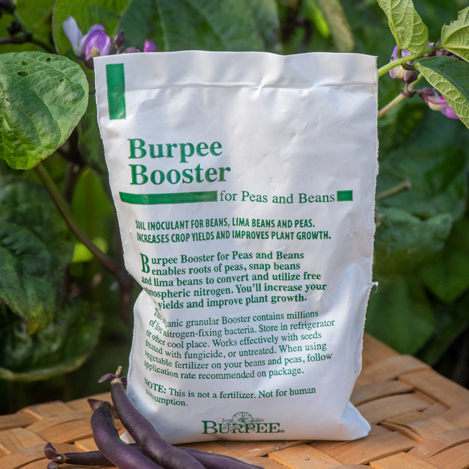 Burpee Bean & Pea Booster