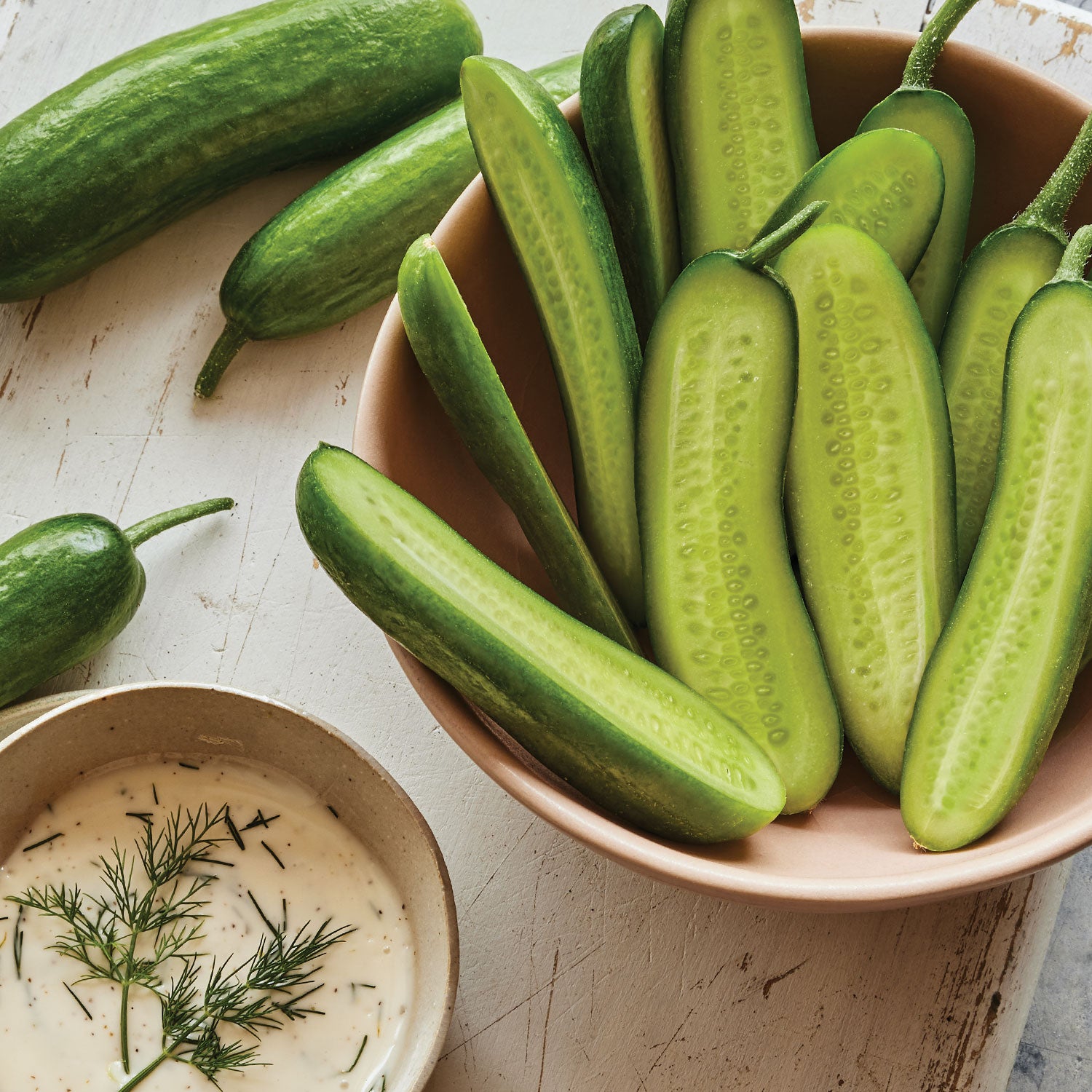 Party Time Mini Cucumber