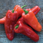 Costa Rican Sweet Sweet Pepper