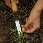 Burpee Stainless Steel Weeder