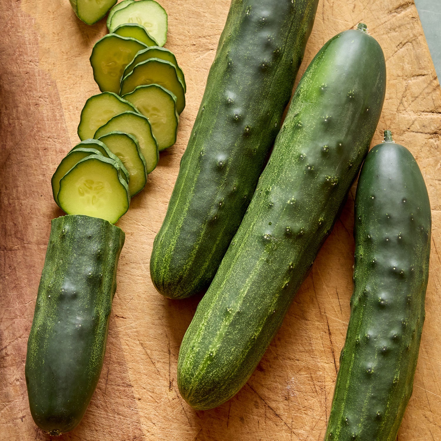 Bush Champion Cucumber