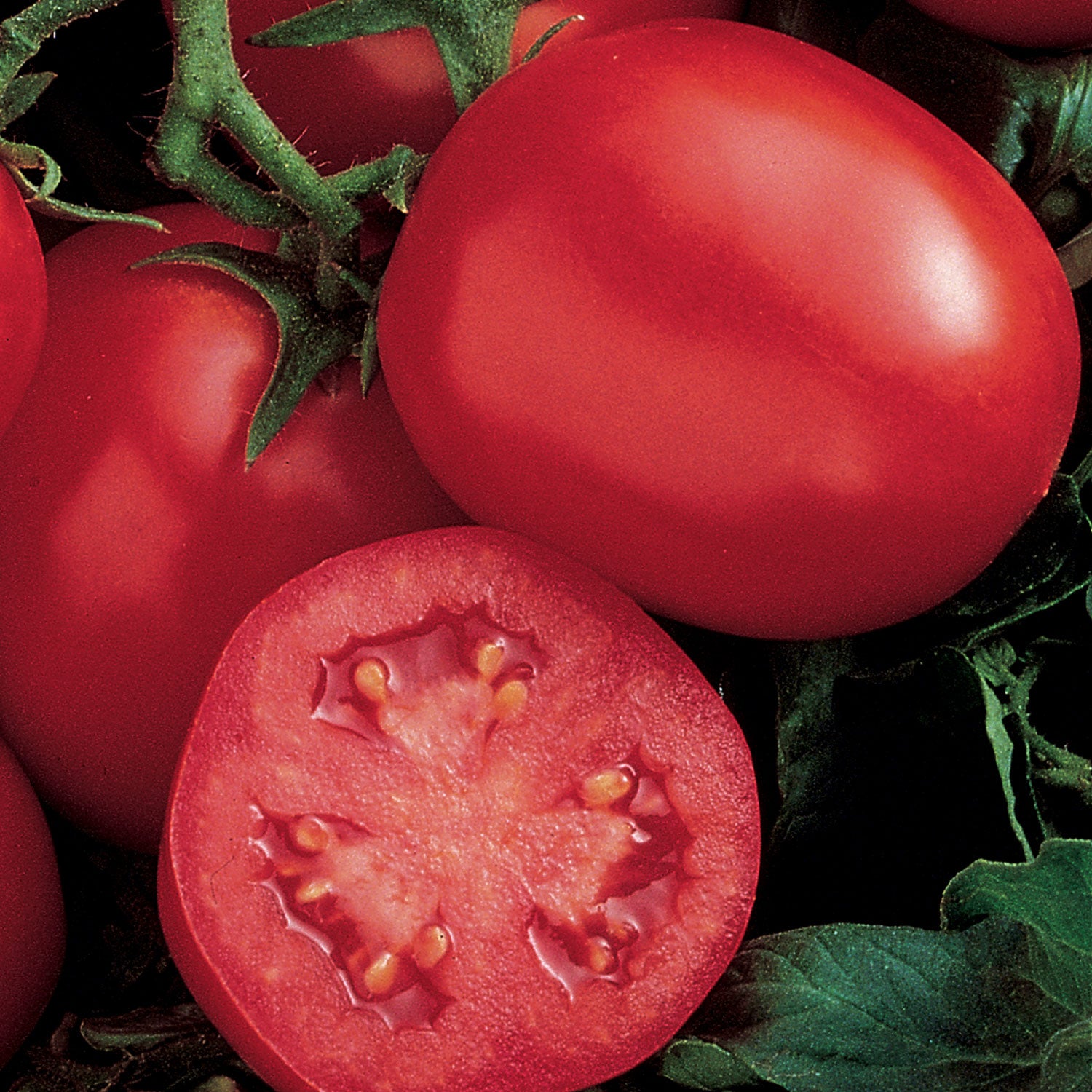 Ensalada Tomato