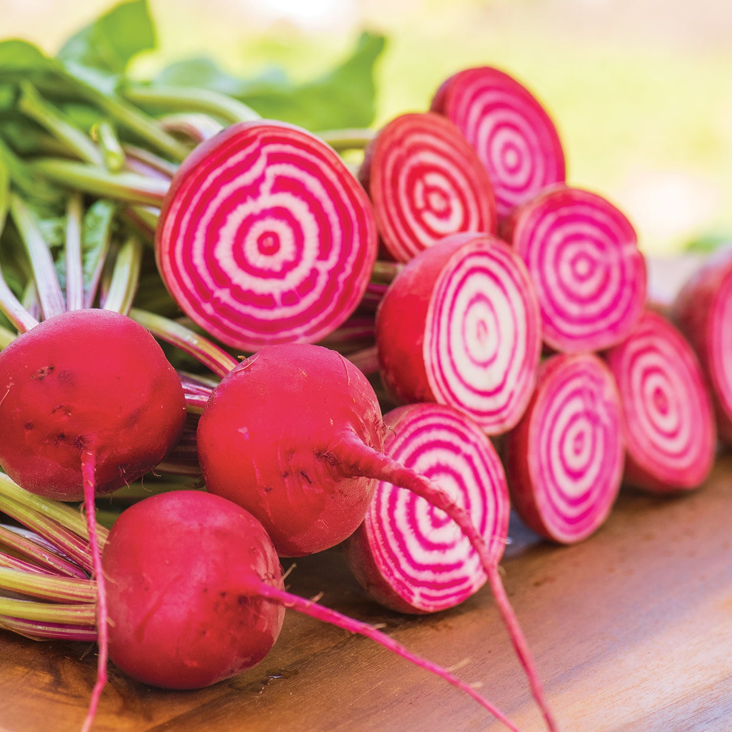 Chioggia Beet