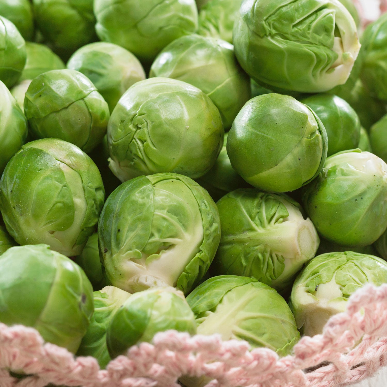 Catskill Brussels Sprouts